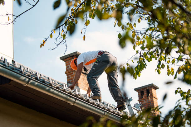Best Roof Gutter Cleaning  in Phillipsburg, GA