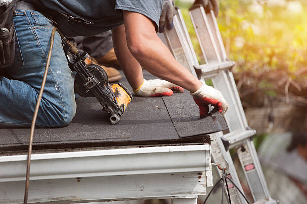 Best Roof Gutter Cleaning  in Phillipsburg, GA