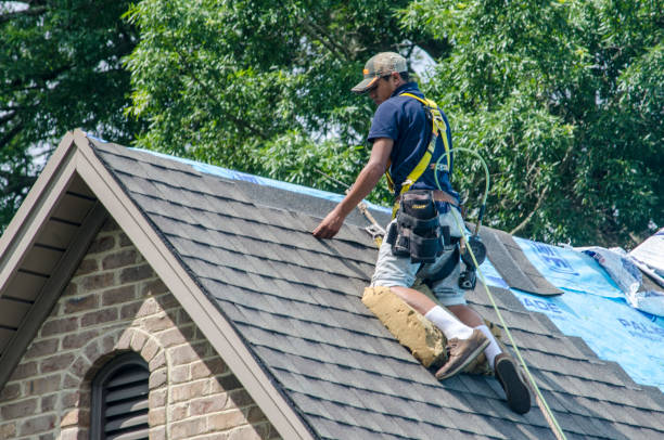Best Shingle Roofing Installation  in Phillipsburg, GA